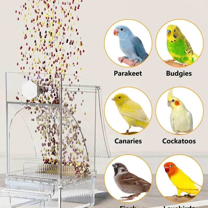 Automatic Bird Seed Feeder No Mess, Clear Acrylic Parrot Food Dispenser with Perch Stand, Smart Bird Cage Accessories for Small Parrots, Parakeets, Finches, Canaries