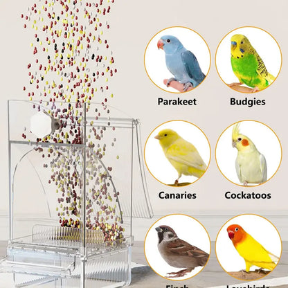 Automatic Bird Seed Feeder No Mess, Clear Acrylic Parrot Food Dispenser with Perch Stand, Smart Bird Cage Accessories for Small Parrots, Parakeets, Finches, Canaries